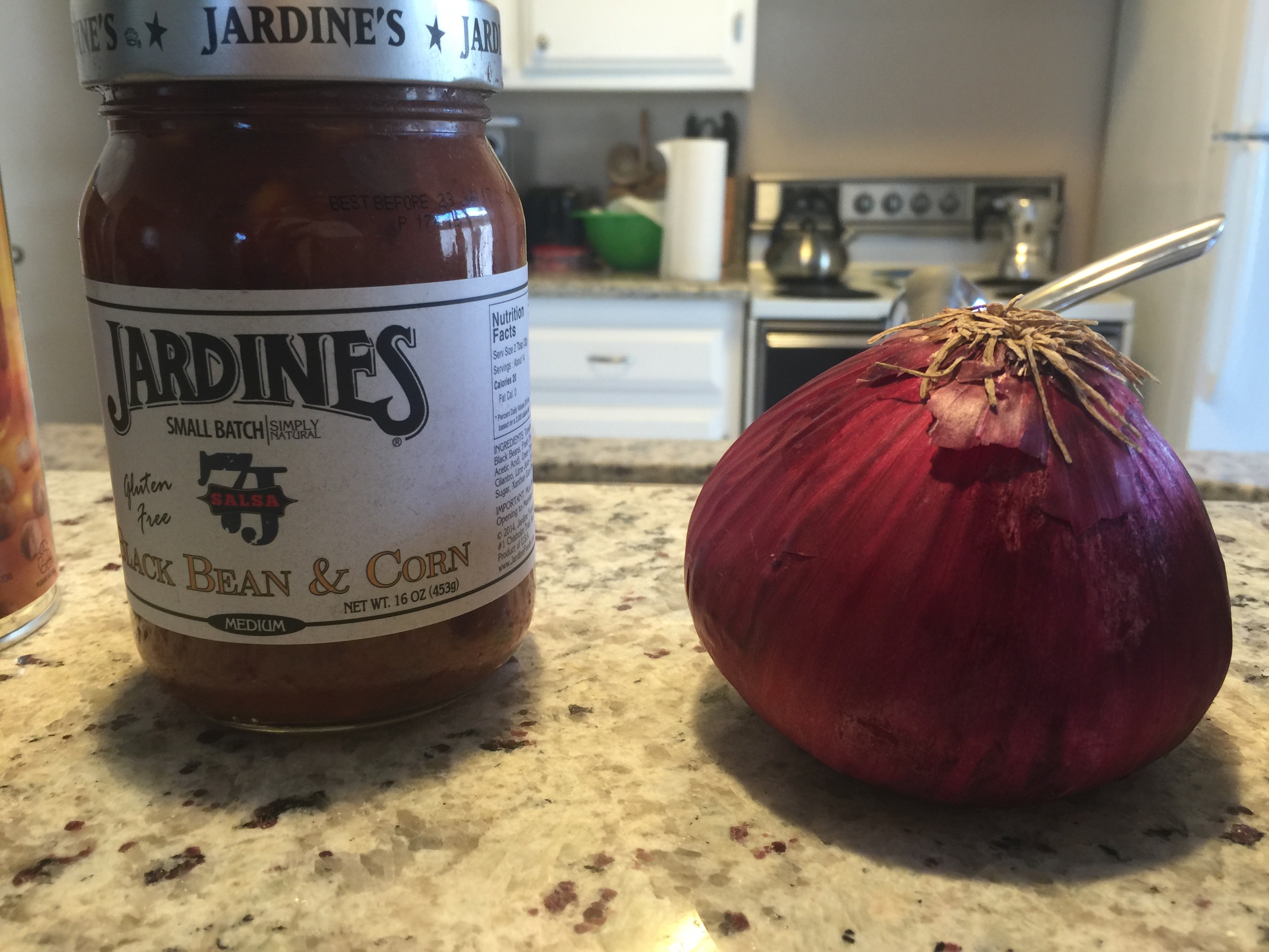 salsa-onion